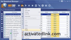 ant download manager full crack