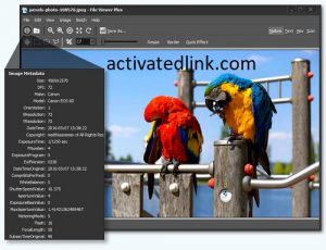 File Viewer Plus 4.3.0.60 Crack With Serial Key Free Download [Latest]