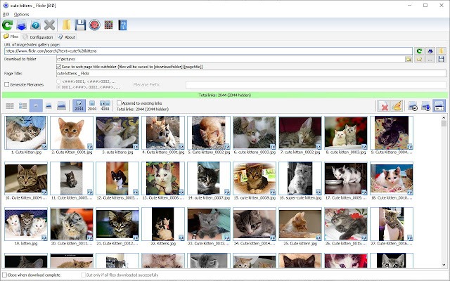 Bulk Image Downloader 6.45 Crack With Serial Key Free Download