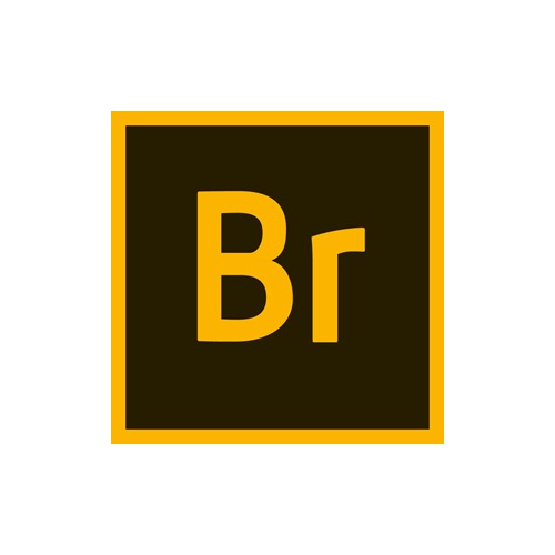 Adobe Bridge CC 24.0.2 Full Crack Free Download